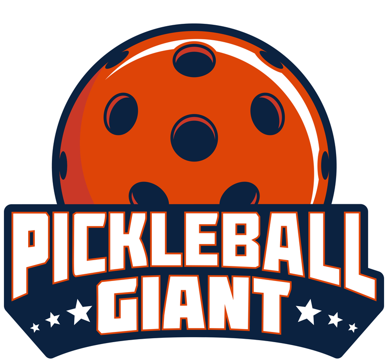 professional instruction iptpa certified professionals book your lesson